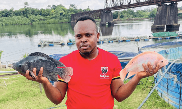 Bakoko : le tilapia 100 % camerounais qui défie le Nil